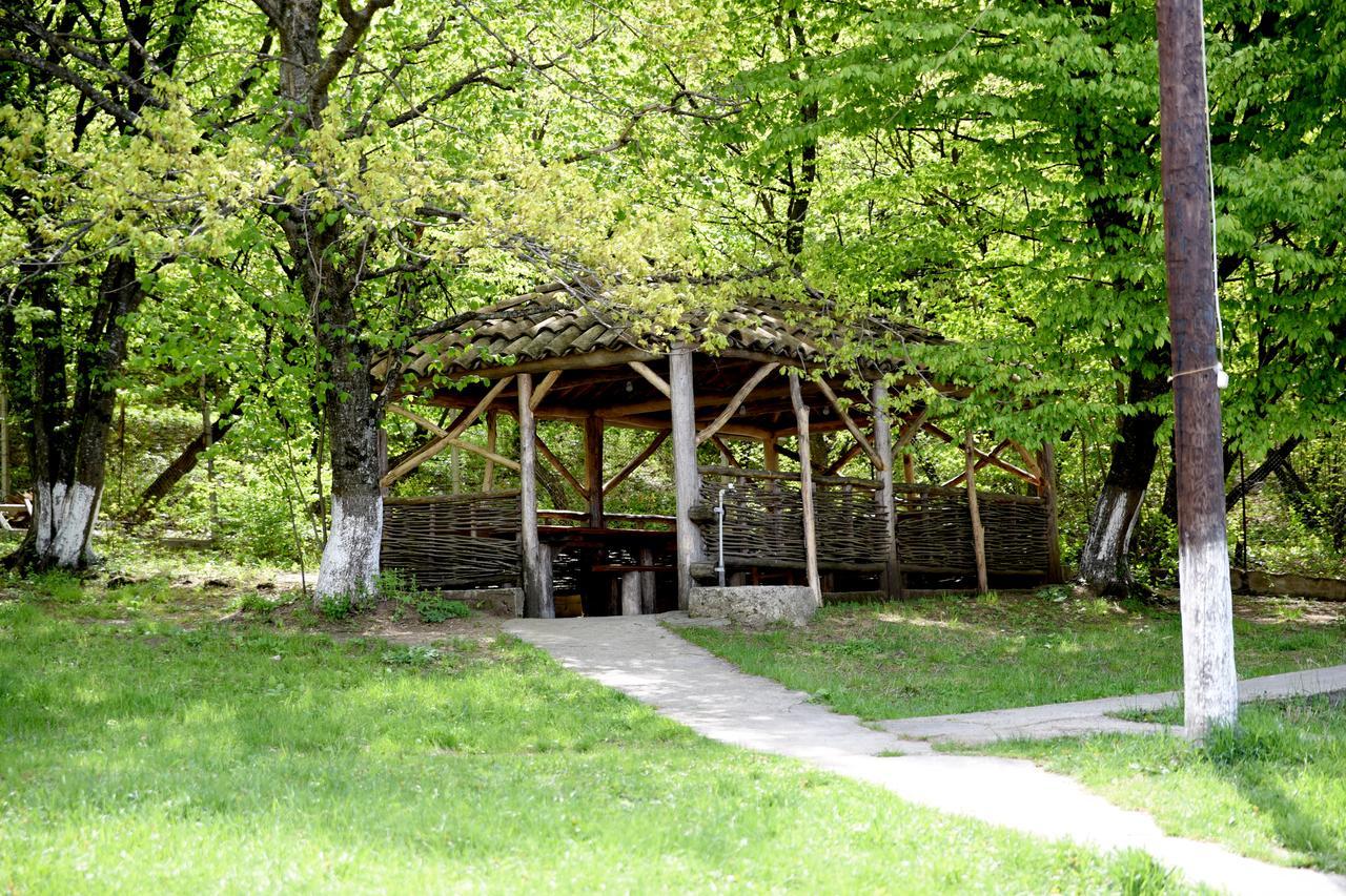 Nikala Bed and Breakfast Telavi Exteriör bild