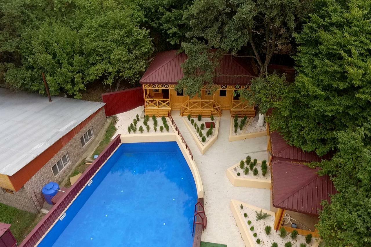 Nikala Bed and Breakfast Telavi Exteriör bild