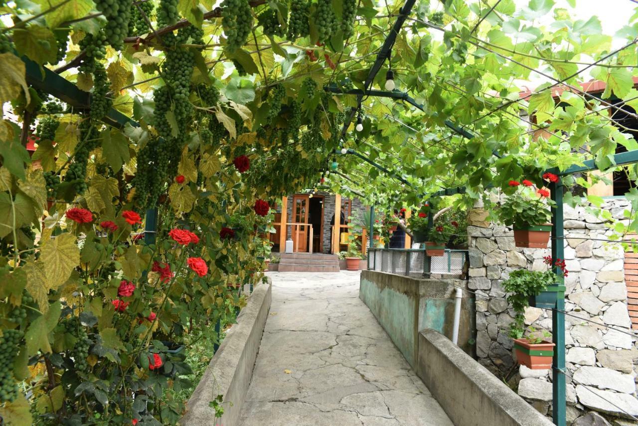 Nikala Bed and Breakfast Telavi Exteriör bild