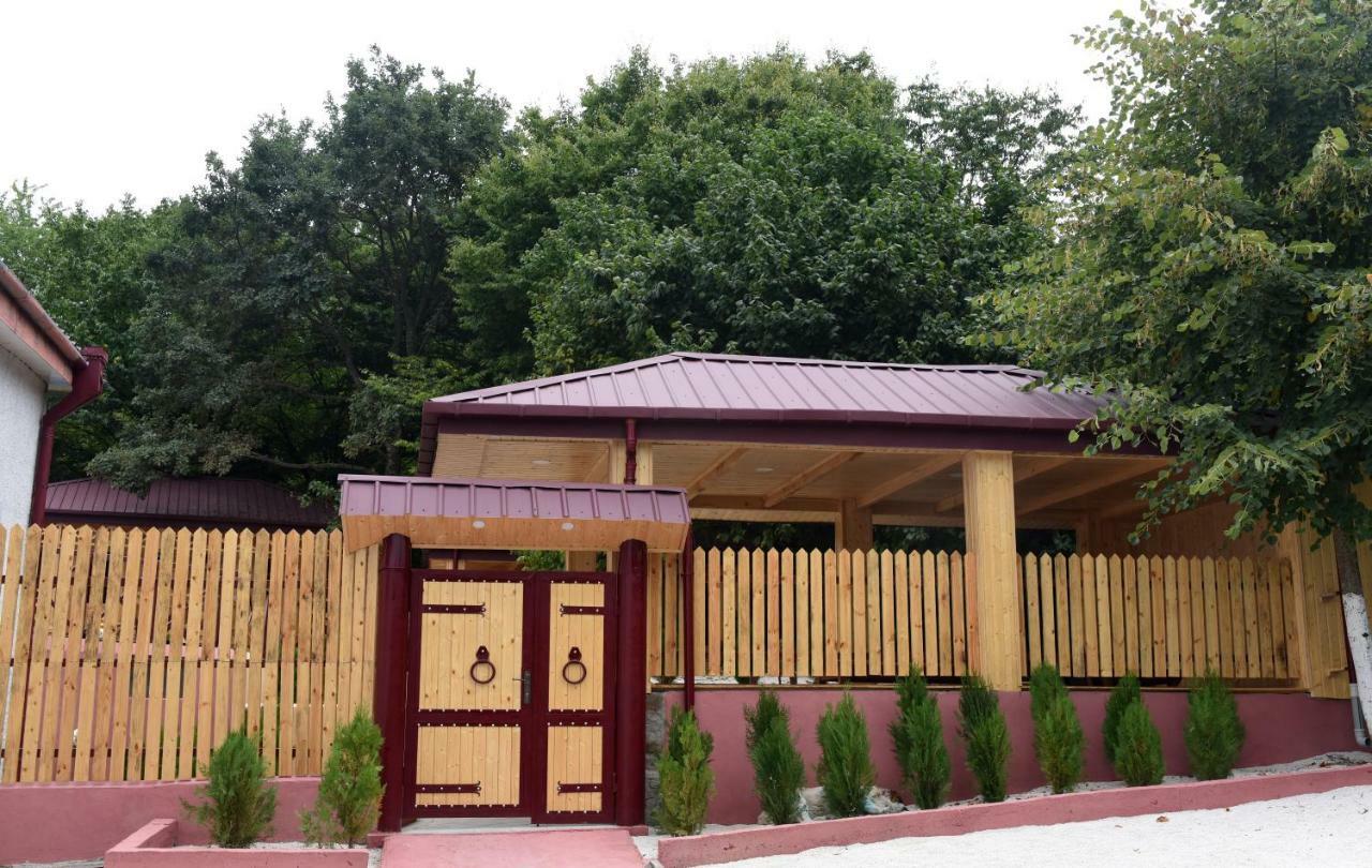 Nikala Bed and Breakfast Telavi Exteriör bild