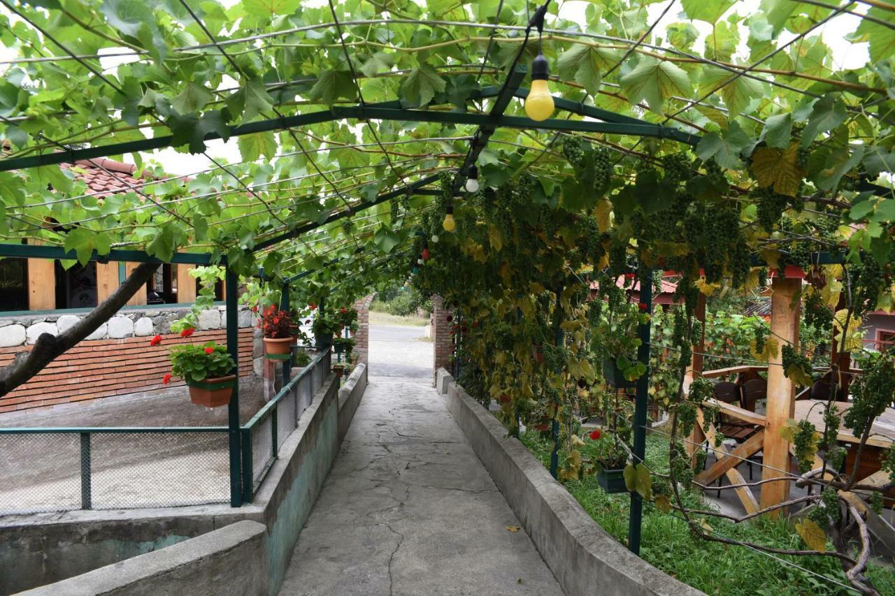 Nikala Bed and Breakfast Telavi Exteriör bild